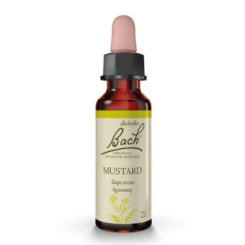 Mustard 10ml - Bachs blomstermedisin