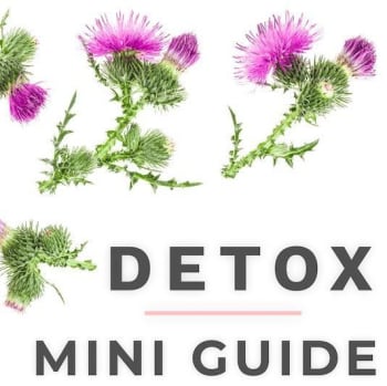 Detox Mini Guide