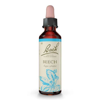 Beech/Bøk - Bachs blomstermedisin 20ml Dil
