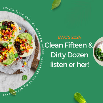 Clean Fifteen og Dirty Dozen 2024 🌿