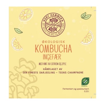 Kombucha ingefær økologisk 33cl