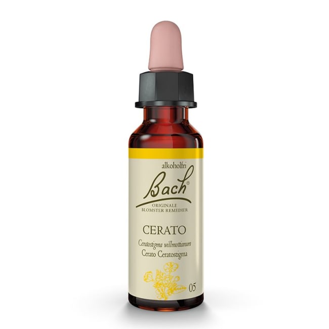Cerato 10ml - Bachs blomstermedisin