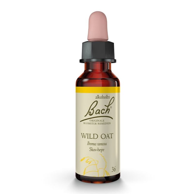 Wild Oat 10ml - Bachs blomstermedisin