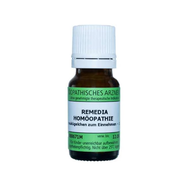 Secale cornutum D30, 10g Granuler