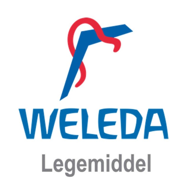 Arnica pl t d6 50ml Dil