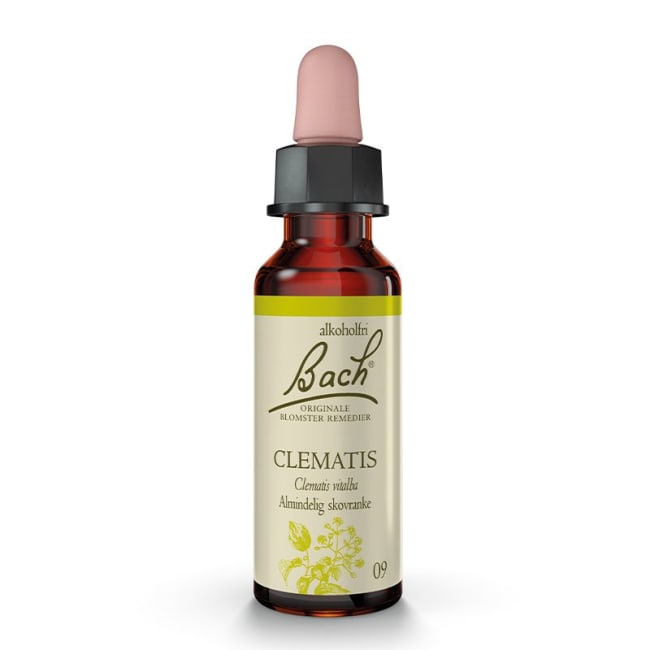 Clematis  10ml - Bachs blomstermedisin