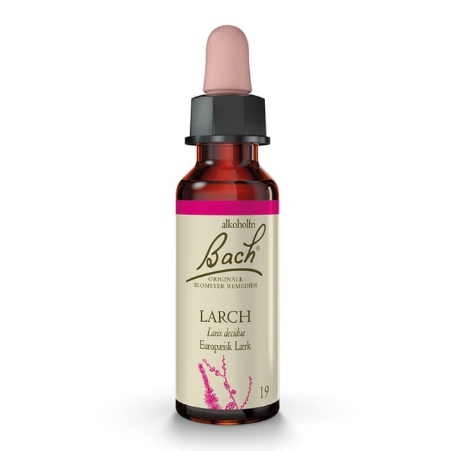 Larch  10ml - Bachs blomstermedisin