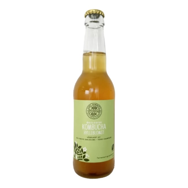 Kombucha hylleblomst 33cl