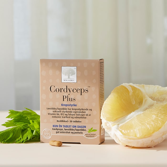 Bilde av Cordyceps Plus kosttilskudd fra New Nordic