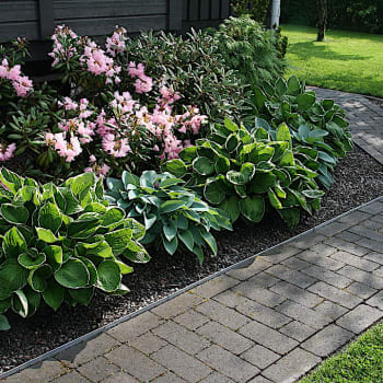 Bedkant Sort H 18 cm 5 stk i pk