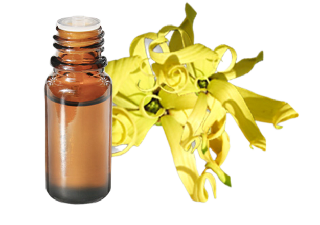 FT-Plante HE-Ylang-ylang-III-removebg-preview