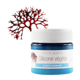 Principio attivo Silicone vegetale