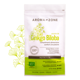 Ginkgo biloba BIO in polvere