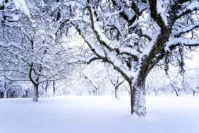 Les bienfaits inattendus du froid sur votre organisme !