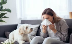 Allergie aux chiens : Causes et Symptômes