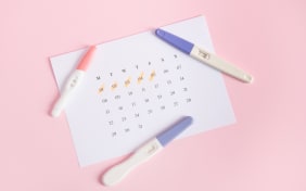 Cycle menstruel : comprendre la phase ovulatoire et l’accompagner naturellement