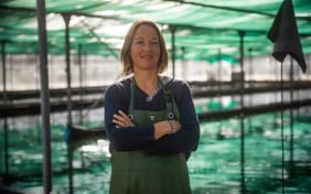 Dans les coulisses de la Spiruline de Julie