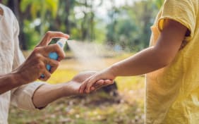 Quel anti-moustique efficace maison ?