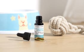 CBD pour les animaux