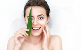 Aloe vera: quali sono i suoi benefici?