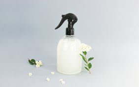 Recette spray protecteur naturel pour plantes