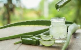 L'Aloe vera est-il efficace contre les brûlures ? 