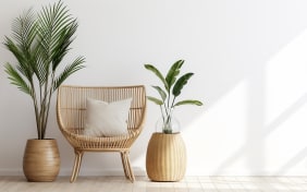 Les plantes d'intérieur qui purifient l'air : Embellissez votre maison tout en améliorant la qualité de l'air