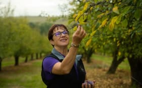 Prune de Gascogne de Nathalie