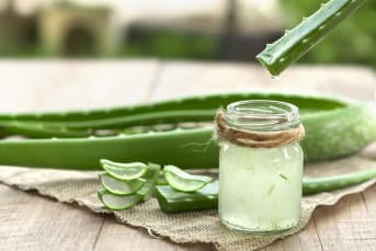 Une cure d'aloe vera : quels sont les bienfaits ?