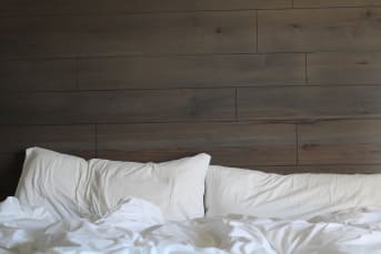5 faits sur les punaises de lits