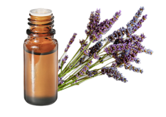 Olio essenziale di Lavanda fine di Altitudine