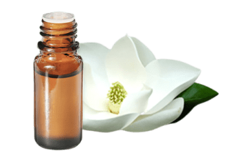 Olio essenziale di Magnolia