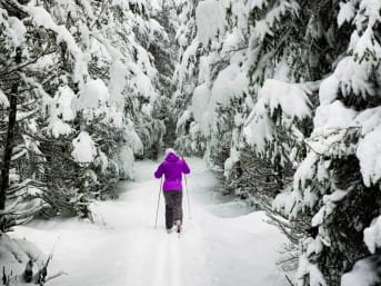 Rester actif en hiver : Comment maintenir une routine d'exercice malgré le froid