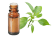 Huile essentielle de Ravintsare Cinnamomum camphora
