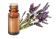 Olio essenziale di Lavanda fine provenzale DOP di altitudine