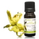 Olio essenziale Yang-ylang completo BIO