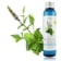 Hydrolat Menthe verte de Provence BIO