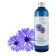 Hydrolat de bleuet préalablement conservé avec 10 gouttes (0.3ml) de Cosgard