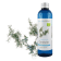 Hydrolat de Genévrier BIO