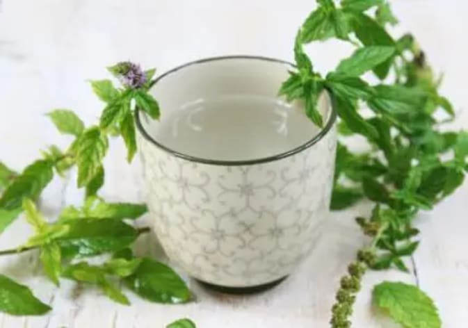 Tisane-detox-aromatique_web