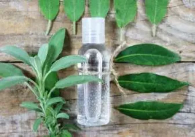 T264613_Eau-aromatique-plantes-purifiantes_web_0