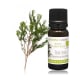 Huile essentielle de Tea tree