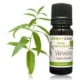 Huile Essentielle Verveine