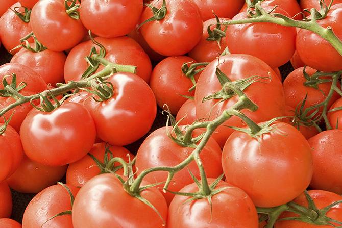 IMG_Ingredient_tomate-1_670px447px.jpg