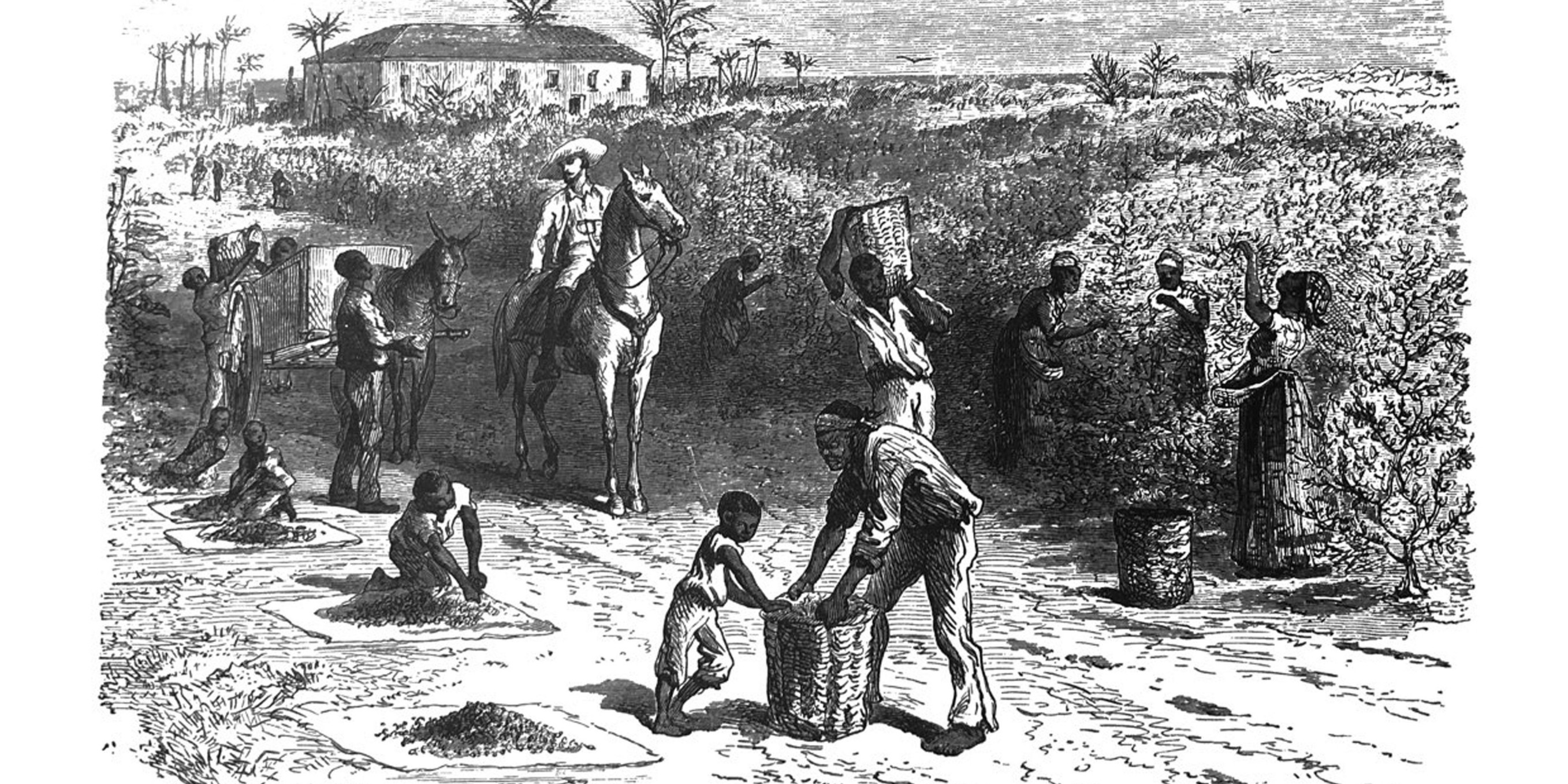 Správa a smazání historie vyhledávání Počítač Nápověda Vyhledávání