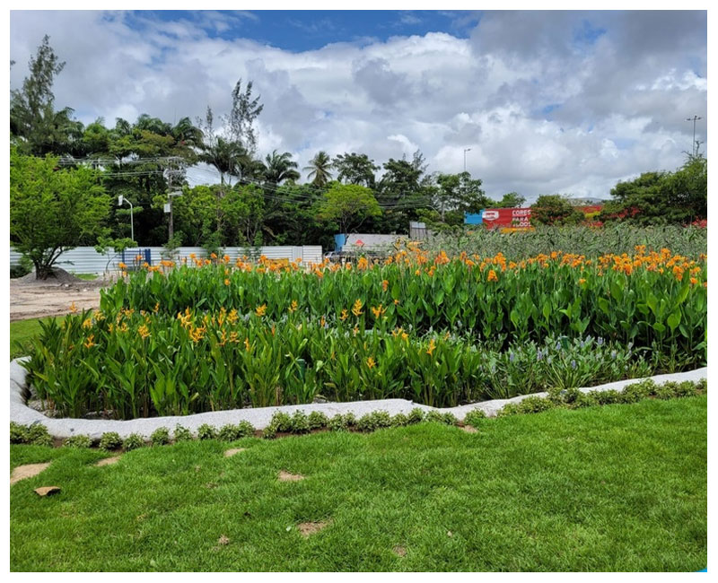 Inovação ambiental dos Jardins Filtrantes Phytorestore