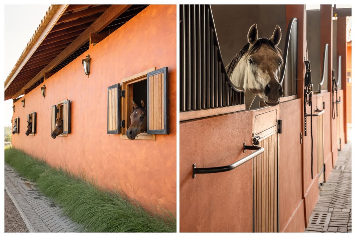 Arquitetura equestre / Fotografia Evelyn Muller
