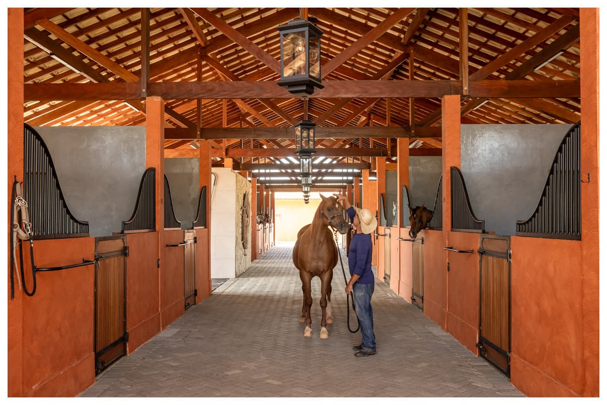 Arquitetura equestre alia biossegurança e percepção sensorial