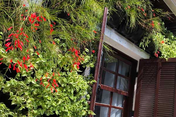 Ecotelhado inaugura showroom
