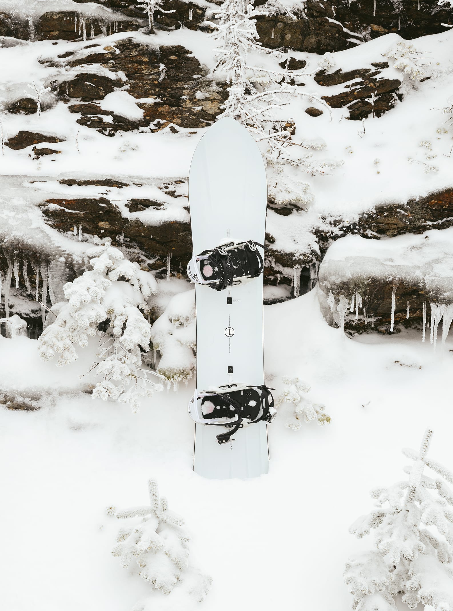Family Tree 3D Deep Daze Snowboard 2023 - Burton Rentals & Resale US
